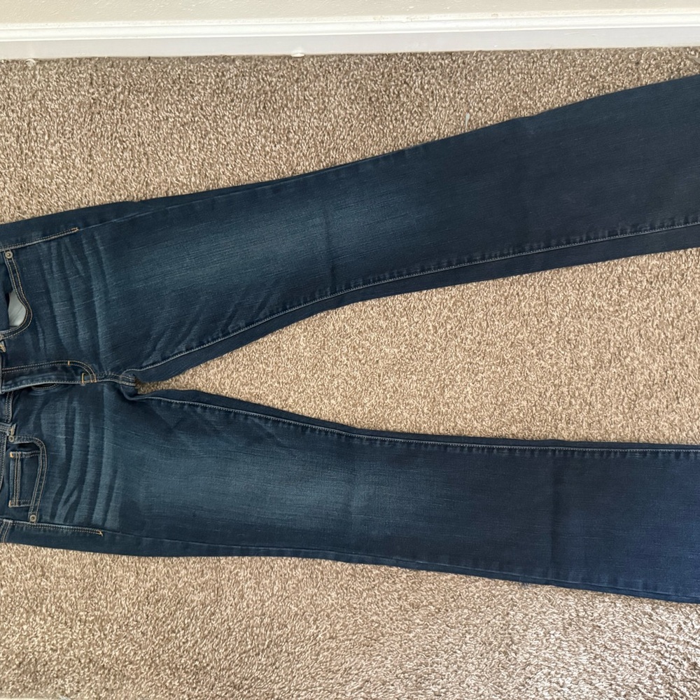 American Eagle Outfitters Blue Flare Wide Leg Jeans